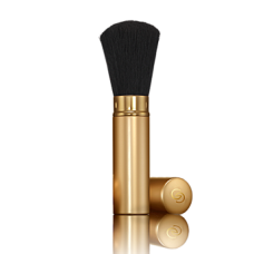 Pensulă pentru aplicarea pudrei Giordani Gold